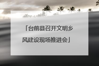 台前县召开文明乡风建设现场推进会