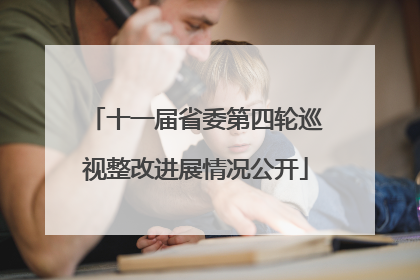 十一届省委第四轮巡视整改进展情况公开