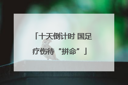 十天倒计时 国足疗伤待“拼命”