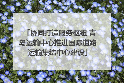 协同打造服务枢纽 青岛运输中心推进国际道路运输集结中心建设