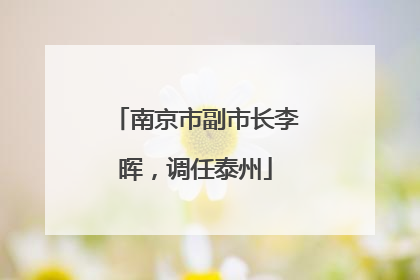 南京市副市长李晖，调任泰州