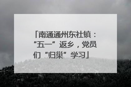 南通通州东社镇：“五一”返乡，党员们“归巢”学习