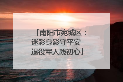 南阳市宛城区：迷彩身影守平安 退役军人践初心