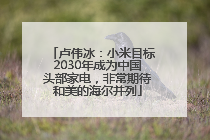 卢伟冰：小米目标2030年成为中国头部家电，非常期待和美的海尔并列
