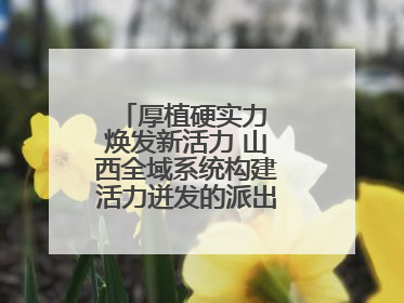 厚植硬实力 焕发新活力 山西全域系统构建活力迸发的派出所工作新生态