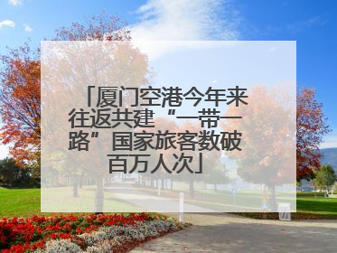 厦门空港今年来往返共建“一带一路”国家旅客数破百万人次