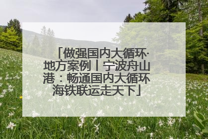 做强国内大循环·地方案例丨宁波舟山港：畅通国内大循环海铁联运走天下