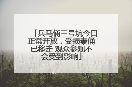兵马俑三号坑今日正常开放，受损秦俑已移走 观众参观不会受到影响