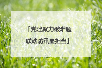 党建聚力破难题 联动防汛显担当