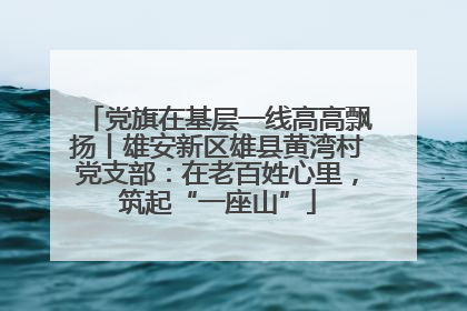 党旗在基层一线高高飘扬丨雄安新区雄县黄湾村党支部：在老百姓心里，筑起“一座山”
