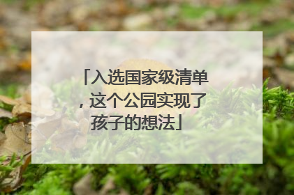 入选国家级清单，这个公园实现了孩子的想法