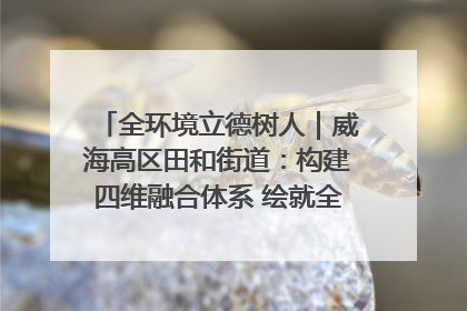 全环境立德树人｜威海高区田和街道：构建四维融合体系 绘就全环境立德树人新画卷