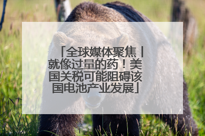 全球媒体聚焦丨就像过量的药！美国关税可能阻碍该国电池产业发展