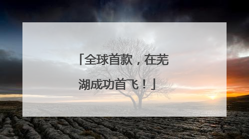 全球首款，在芜湖成功首飞！