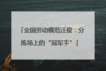 全国劳动模范汪俊：分拣场上的“冠军手”