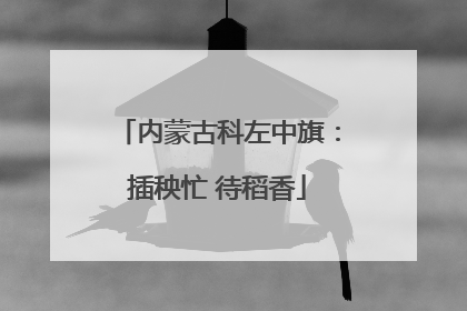 内蒙古科左中旗：插秧忙 待稻香