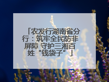 农发行湖南省分行：筑牢全民防非屏障 守护三湘百姓“钱袋子”