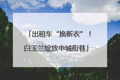 出租车“换新衣”！白玉兰绽放申城街巷