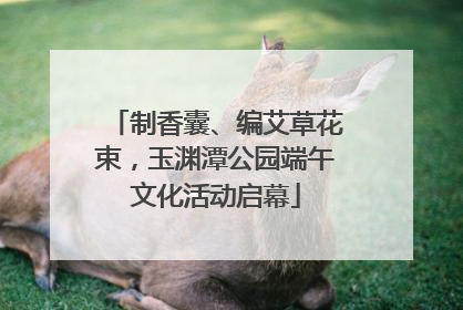 制香囊、编艾草花束，玉渊潭公园端午文化活动启幕