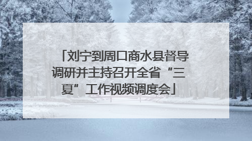 刘宁到周口商水县督导调研并主持召开全省“三夏”工作视频调度会
