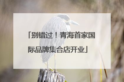 别错过！青海首家国际品牌集合店开业