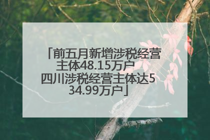 前五月新增涉税经营主体48.15万户 四川涉税经营主体达534.99万户