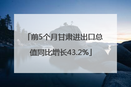 前5个月甘肃进出口总值同比增长43.2%