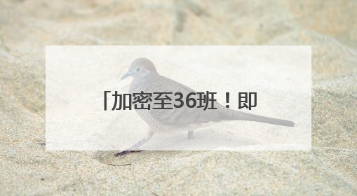 加密至36班！即日起，西海岸往返青岛机场巴士升级