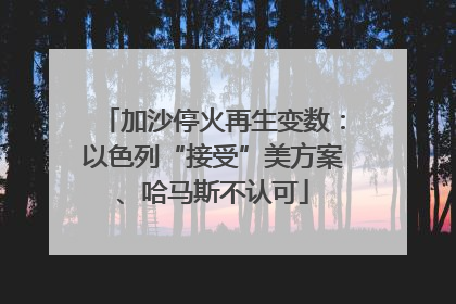 加沙停火再生变数：以色列“接受”美方案、哈马斯不认可