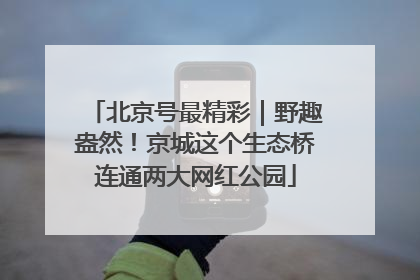 北京号最精彩｜野趣盎然！京城这个生态桥连通两大网红公园