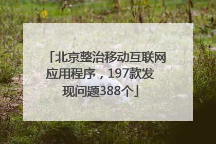 北京整治移动互联网应用程序，197款发现问题388个
