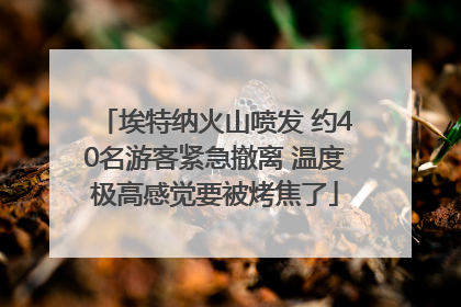 埃特纳火山喷发 约40名游客紧急撤离 温度极高感觉要被烤焦了