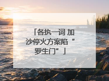 各执一词 加沙停火方案陷“罗生门”