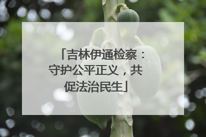 吉林伊通检察：守护公平正义，共促法治民生