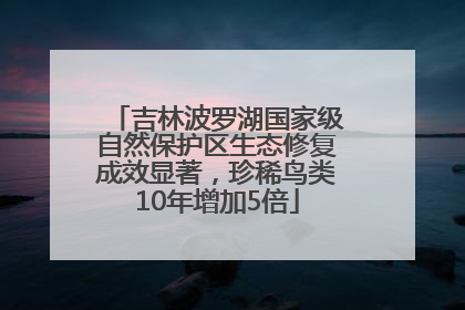 吉林波罗湖国家级自然保护区生态修复成效显著，珍稀鸟类10年增加5倍