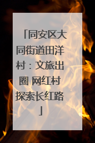 同安区大同街道田洋村：文旅出圈 网红村探索长红路