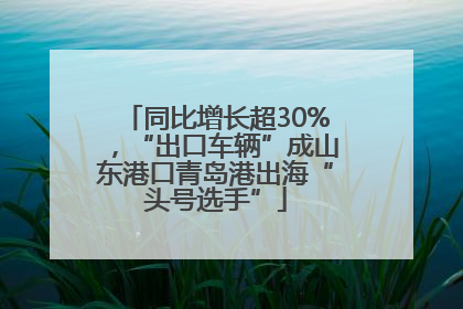 同比增长超30%，“出口车辆”成山东港口青岛港出海“头号选手”