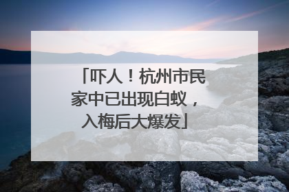 吓人！杭州市民家中已出现白蚁，入梅后大爆发
