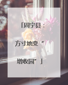 周宁县：方寸地变“增收园”