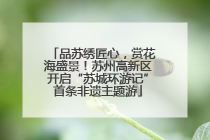 品苏绣匠心，赏花海盛景！苏州高新区开启“苏城环游记”首条非遗主题游