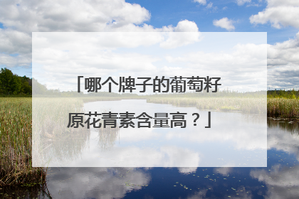 哪个牌子的葡萄籽原花青素含量高？