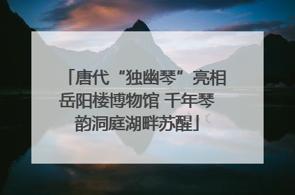 唐代“独幽琴”亮相岳阳楼博物馆 千年琴韵洞庭湖畔苏醒