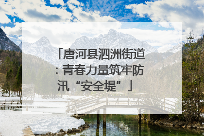 唐河县泗洲街道：青春力量筑牢防汛“安全堤”