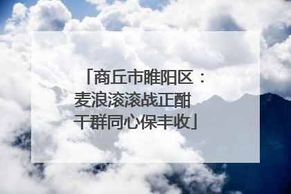 商丘市睢阳区：麦浪滚滚战正酣 干群同心保丰收