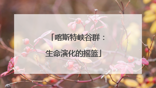 喀斯特峡谷群：生命演化的摇篮