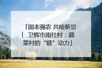 固本强农 共绘新景 ︳卫辉市南社村：蔬菜村的“链”动力