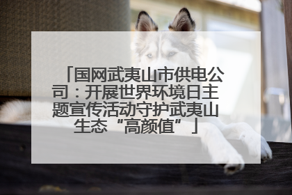 国网武夷山市供电公司：开展世界环境日主题宣传活动守护武夷山生态“高颜值”