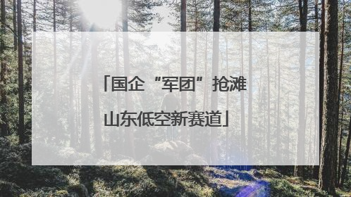 国企“军团”抢滩山东低空新赛道