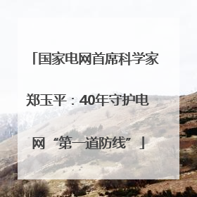 国家电网首席科学家郑玉平：40年守护电网“第一道防线”