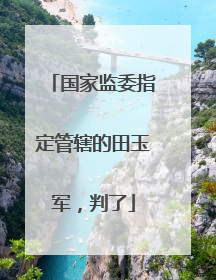 国家监委指定管辖的田玉军，判了
